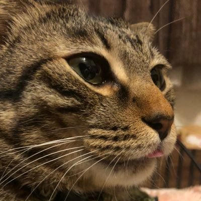 OVERHIT52851498's profile picture. エグゼに帰って来た系男子(アラサー・初老・早〇)