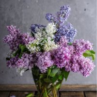 User profile - @lilas_room.