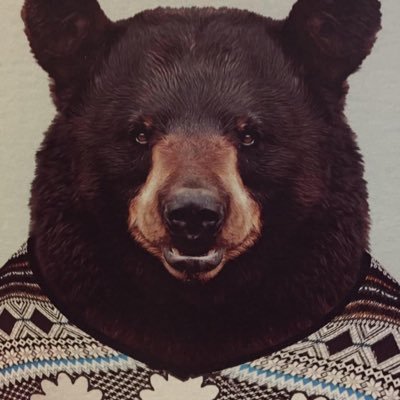 wills_bear Profile Picture