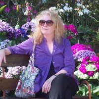 barbara pendrigh (@bdotp) Twitter profile photo