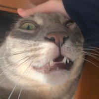 Breeze (@lezeerd) 's Twitter Profile