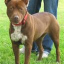 Eric Sas - @EricLosAngeles - Twitter