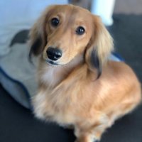 kyo_13 (@kyohei00013) Twitter profile photo