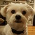 Balba Luna (@balbaluna) Twitter profile photo Balba Luna (@balbaluna) Twitter profile photo