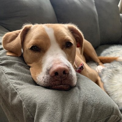 I'm Emily. 29. RD/spoonie/certified Disney adult