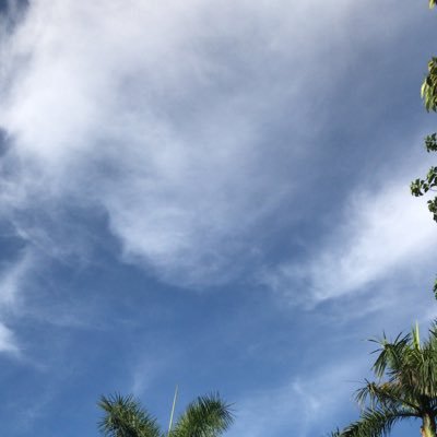 marevlyn's profile picture. 