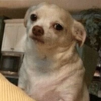 CSans576's profile picture. just a random person that likes lewd stuff of all sorts, so don't mind me.
22 years old