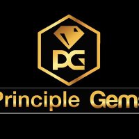 Principle Gems(@PrincipleGems) 's Twitter Profile Photo