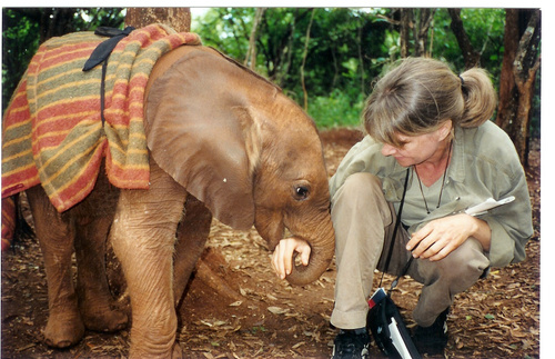 TheStoryofDao's profile picture. ArgoFilms is a six-time Emmy award-winning film company.  It is our mission to inspire understanding and compassion through the medium of film.