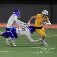 Brenden Harding (@harding_brenden) 's Twitter Profile