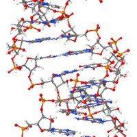 Dr.Kilic (@bordbeee) 's Twitter Profile