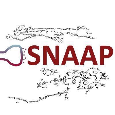 Stanford Neuro Application Assistance Program Profile