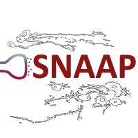 Stanford Neuro Application Assistance Program (@stanford_aap) 's Twitter Profile Photo