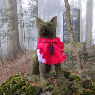 寺、神社めぐり、町の散策が趣味。新宿の花園神社によくお参りします。