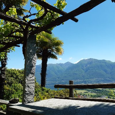 RetoSchweizer's profile picture. 