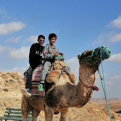 GZeroui's profile picture. أدفع الثمن باهضا كي لا أعيش رخيصا مثلهم