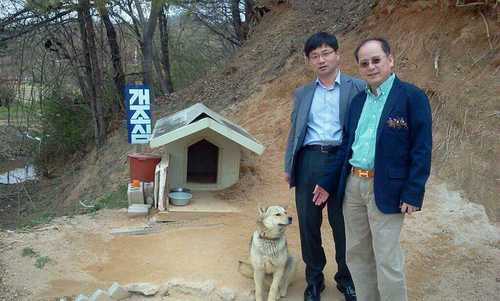 kkh726's profile picture. 흉부외과의사 이울지도교수