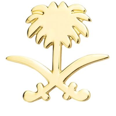 MSc in Entrepreneurship & Innovation @DCU | B.A. in Languages & Translation | 🇸🇦