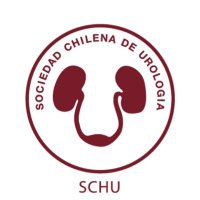 Sociedad Chilena de Urología(@Urolchi) 's Twitter Profile Photo