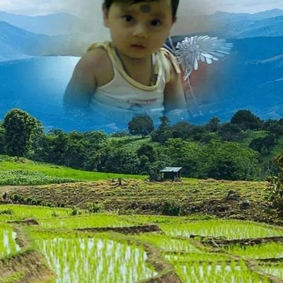 DipuSin17279559's profile picture. 1/5/1978