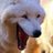 Pawoot_T's profile image