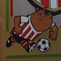 Sunderland Panini etc. (@safcpanini) 's Twitter Profile Photo Sunderland Panini etc. (@safcpanini) 's Twitter Profile Photo