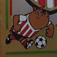 Sunderland Panini etc.(@SAFCPanini) 's Twitter Profile Photo