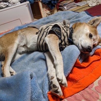 ct42y4leiXJdOfU's profile picture. 宜しくお願いします。