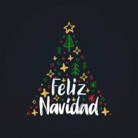 Todo Navidad (@navidadtodo) 's Twitter Profile