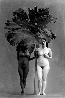 TheLadyMissRed's profile picture. I'm a biracial-bisexual woman, writer, and teacher-  starting an extraordinary/ordinary family with my wife to be.