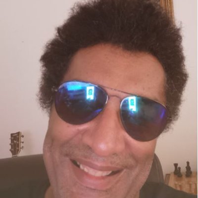 Développeur informatique, auteur compositeur, chess player