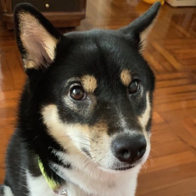 TMak00615172's profile picture. 