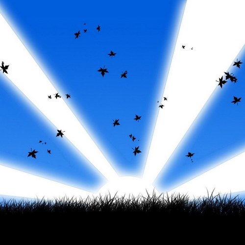 Carlo Cecchi Profile