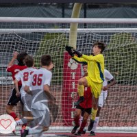 Thomas Higgins (@thomas_h711) 's Twitter Profile