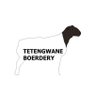 TBoerdery's profile picture. commercial Broiler farmer| Dorper breeder| Agric consultant |M&G200 Young South Africans 2019| UL and Wits Alumni