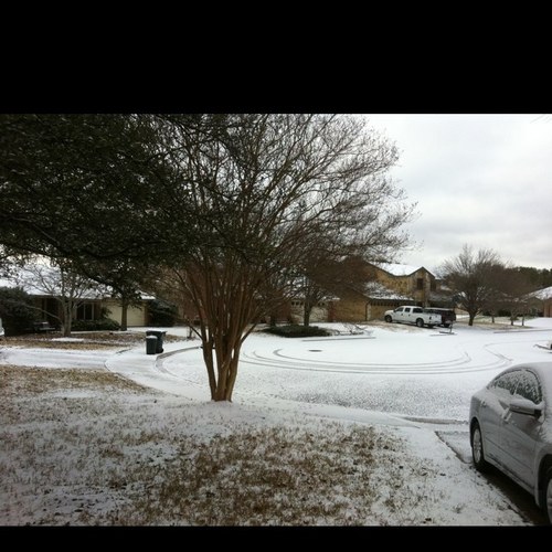 joudaeljazairi's profile picture. 