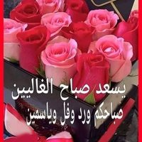 محمود شعبان (@mbmlxdxouj5ruvb) 's Twitter Profile