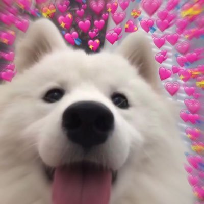 raep_luv20xx's profile picture. ⋆𐙚₊˚⊹♡ 𝘍𝘢𝘯𝘨𝘪𝘳𝘭𝘴 ✩₊˚.⋆☾⋆⁺₊✧ | ᴀᴛʟᴀꜱ ₊˚⊹♡ ℕ𝕚𝕔𝕖 | ᴘʀᴏxɪᴇ ₊˚⊹♡ 𝕊𝕙𝕠𝕥𝔾𝕦𝕟 | ᴅɪᴄᴇ ₊˚⊹♡ 𝕄𝕚𝕟 | ᴘᴇʀꜱᴇꜱ ₊˚⊹♡ 𝕁𝕦𝕟𝕘 | ℕ𝕖𝕟𝕖 ❤︎ | 𝔻𝕠𝕣𝕟 ❤︎