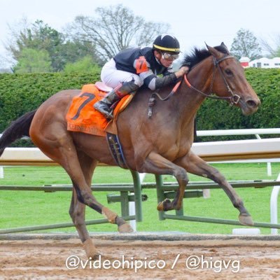 Thoroughbred racing and breeding.