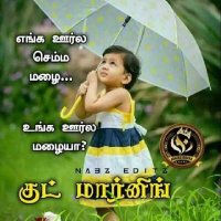 Malai Raja(@MalaiRa08924167) 's Twitter Profileg