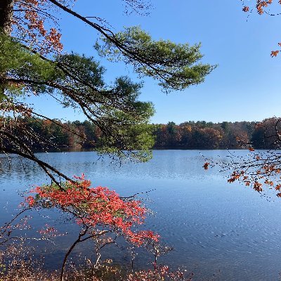 Peaceさんのプロフィール画像