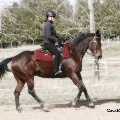 Real Estate Professional.  Former Law Enforcement, Mom, entrepreneur and I love ❤️ Horses 🐎 
#formerlawenforcement #Realestate #Royallepage #rlpaction