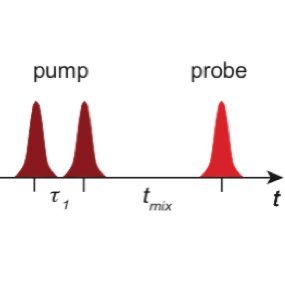 twitter account of the ultrafast structural dynamics group (Müller-Werkmeister group) at Uni Potsdam- 2DIR, protein dynamics, soft matter and occasional X-Rays