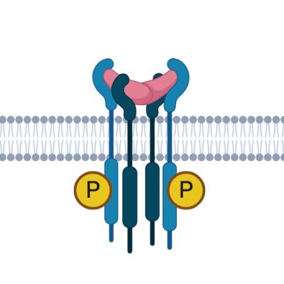 Philip Howe Lab Profile