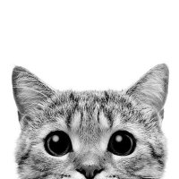 PortakallıReçel🍊 (@ozgeonlinez) Twitter profile photo