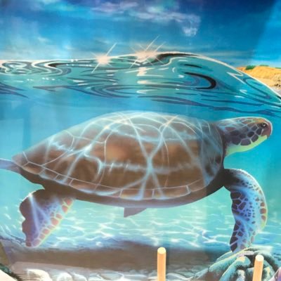 沖縄出身/2023年5月〜沖縄常設公演『鉄の暴風』沖縄戦を伝える。読谷村むら咲むら/2020.7月〜ひばげき(ひばりヶ丘劇場)