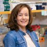 CantorLab's profile picture. Professor studying DNA replication and role in cancer, chemoresistance, and developmental diseases
