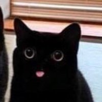 vollmond (@vollmond_noir) Twitter profile photo
