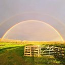 Dave Robson - @DaveRob44539934 - Twitter