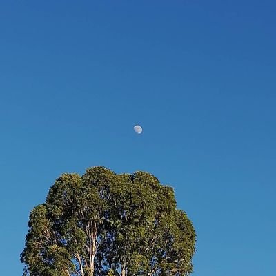 espana_hansel's profile picture. eterno aprendiz, padre de familia y amante del rock and roll